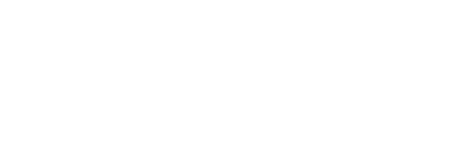Alexafoto logo